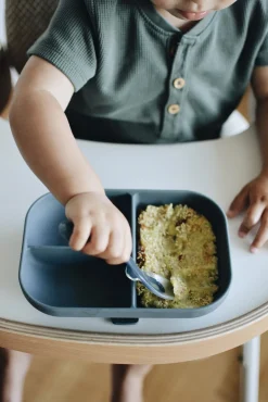 Assiette Compartimentee Silicone Mineral