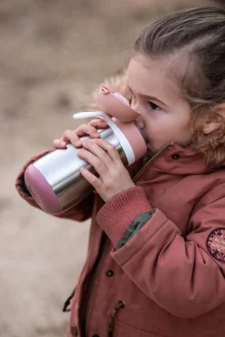 Gourde Inox 350 Ml Old Pink