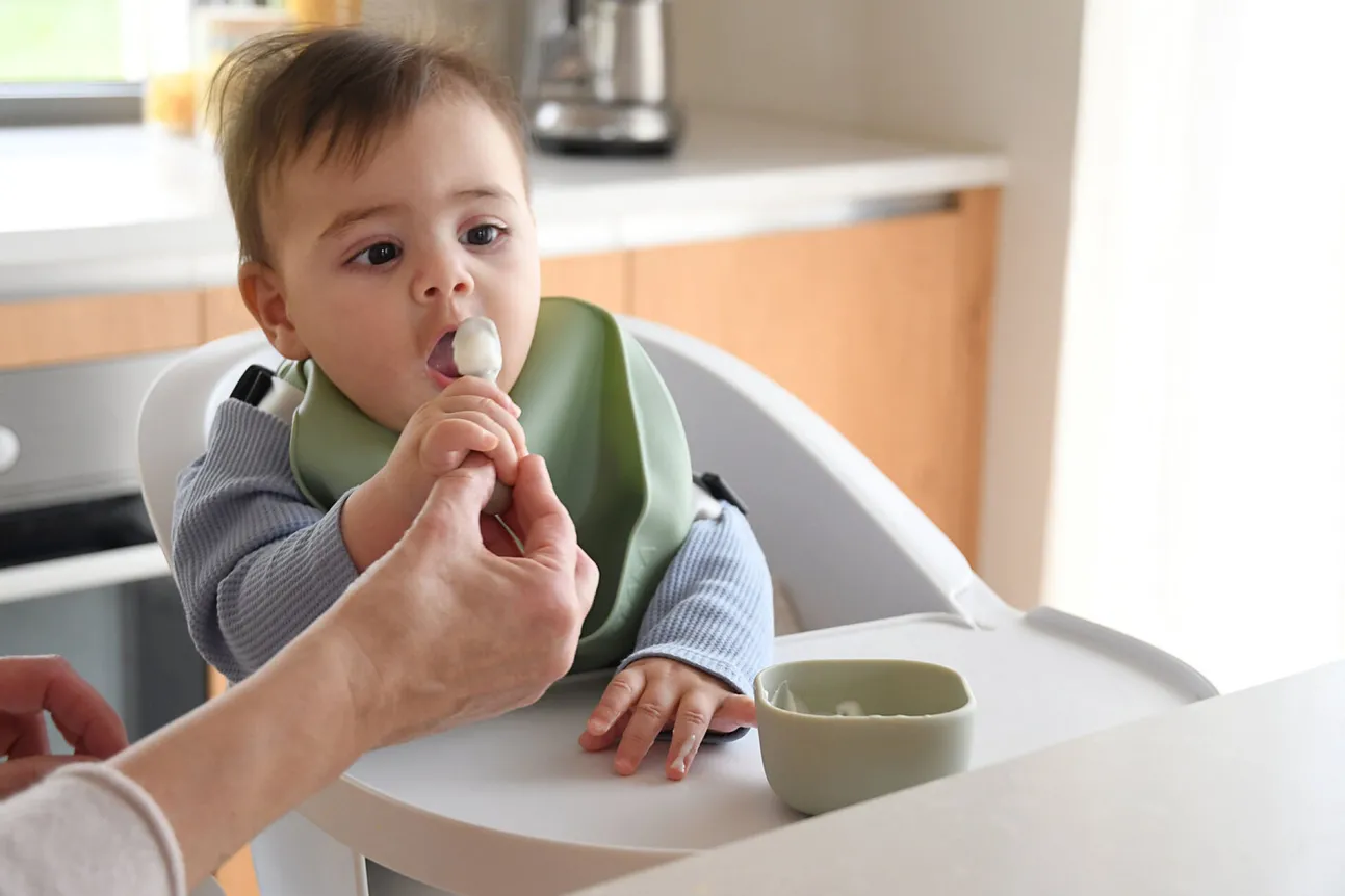 Lot De 2 Pre-Cuillere Silicone Sage Green / Velvet Grey