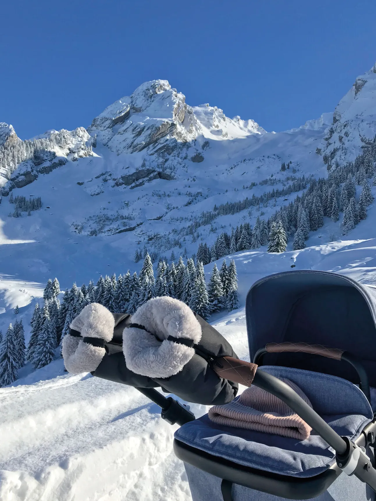 Moufles Poussette Black