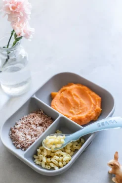 Set Repas Silicone Avec Ventouse Grey