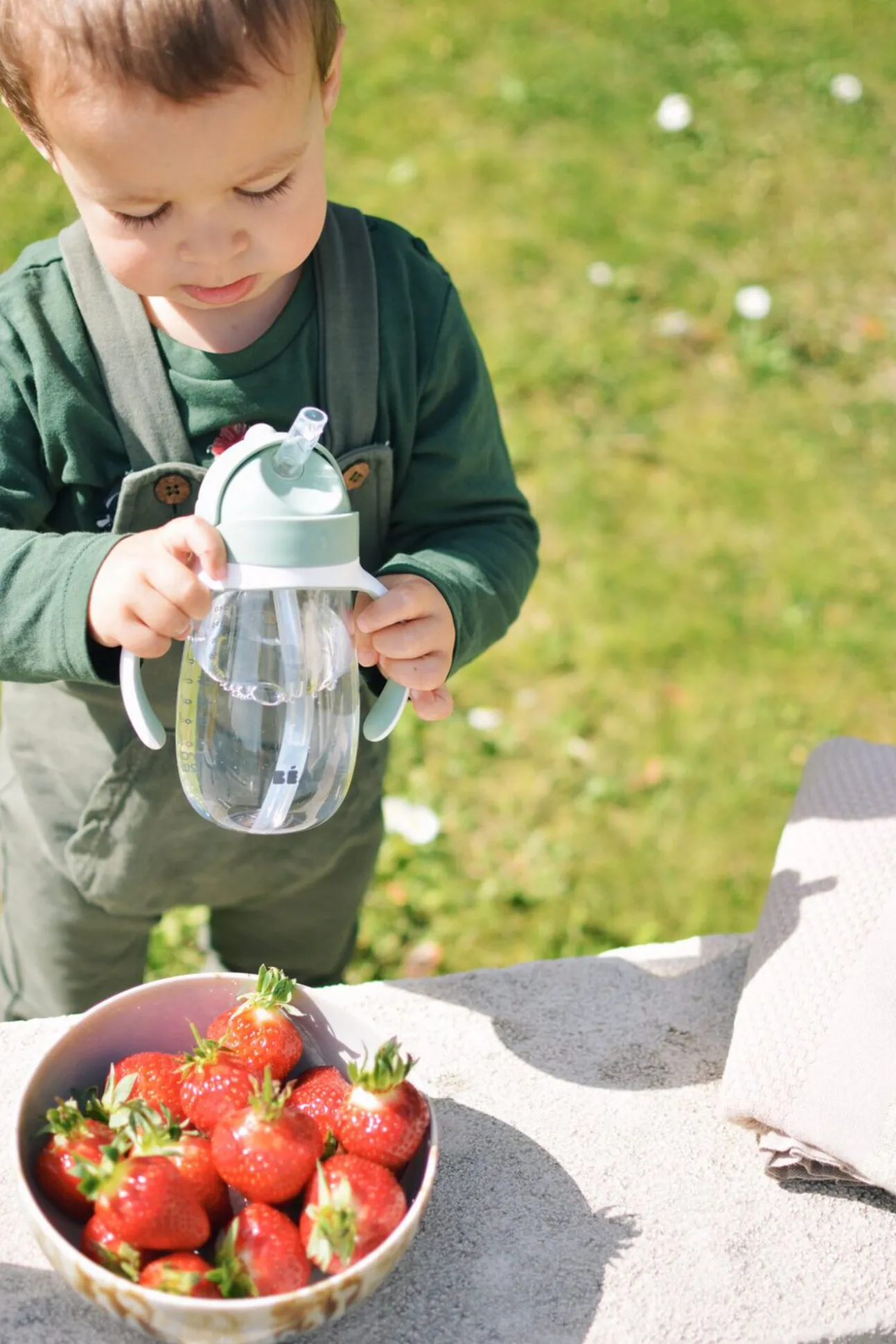 Tasse Paille 300 Ml Sage Green